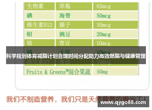 科学规划体育减脂计划合理时间分配助力高效燃脂与健康管理