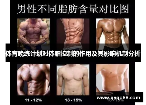 体育晚练计划对体脂控制的作用及其影响机制分析