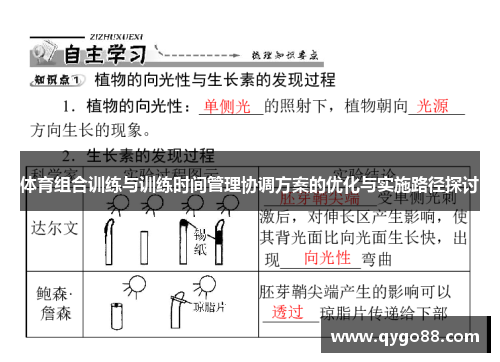 体育组合训练与训练时间管理协调方案的优化与实施路径探讨